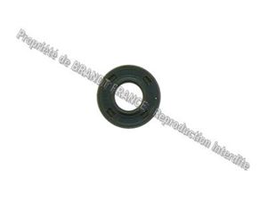 Image de JOINT MOTEUR--clapet alternance