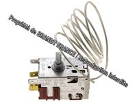 Image de THERMOSTAT --077B6726
